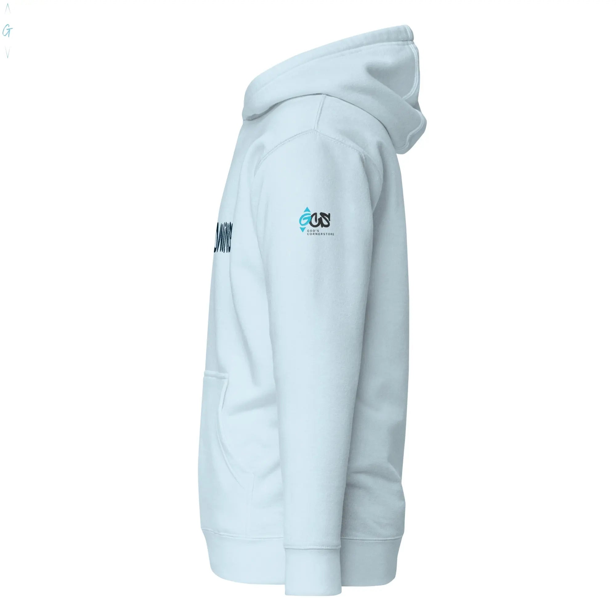 GOD WINS Premium Hoodie God's Corner Store