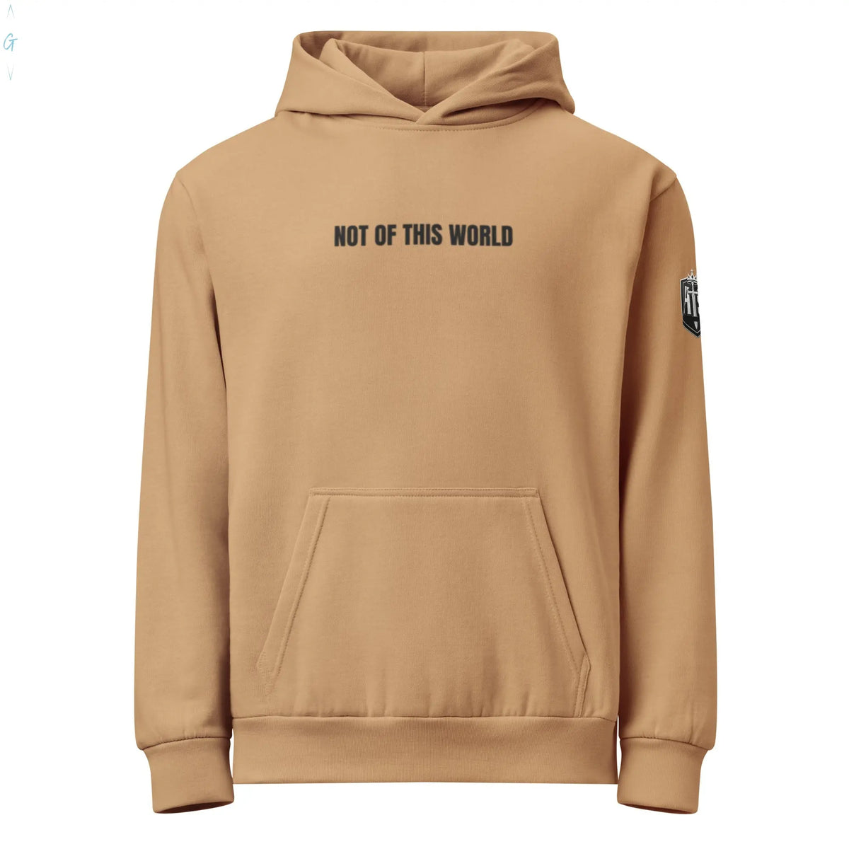 "NOT OF THIS WORLD" HEAVYWEIGHT HOODIE God's Corner Store