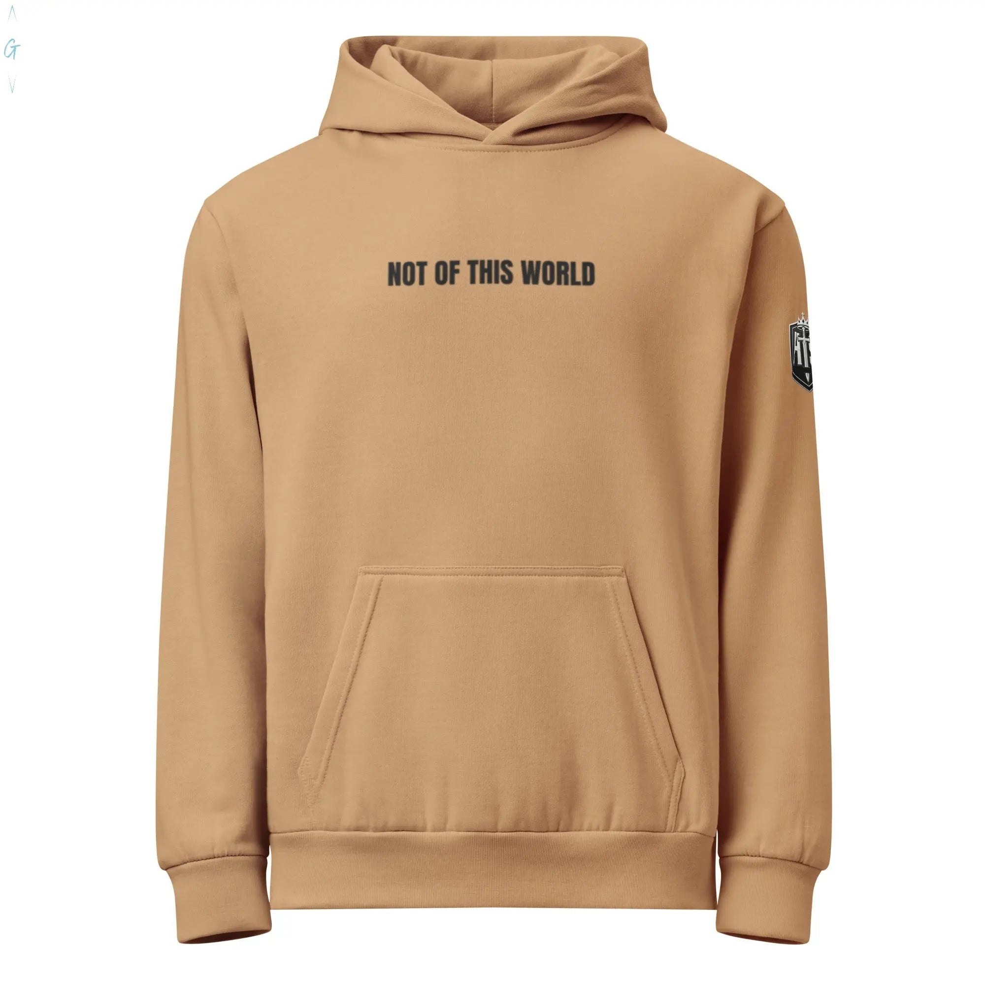 "NOT OF THIS WORLD" HEAVYWEIGHT HOODIE God's Corner Store