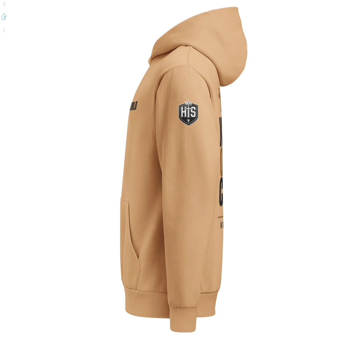 "NOT OF THIS WORLD" HEAVYWEIGHT HOODIE God's Corner Store